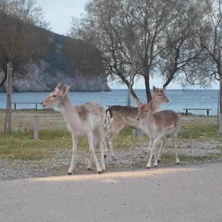 Lithoktisto * Limnionas (Central Greece)