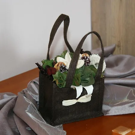 Lithoktisto Apartament *